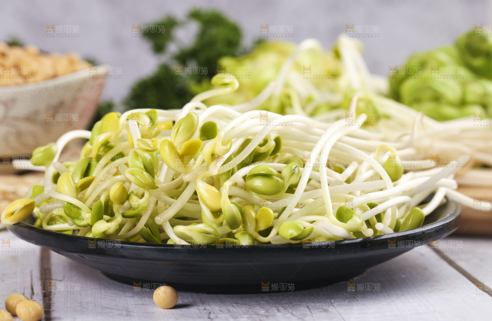 盘子里的豆芽