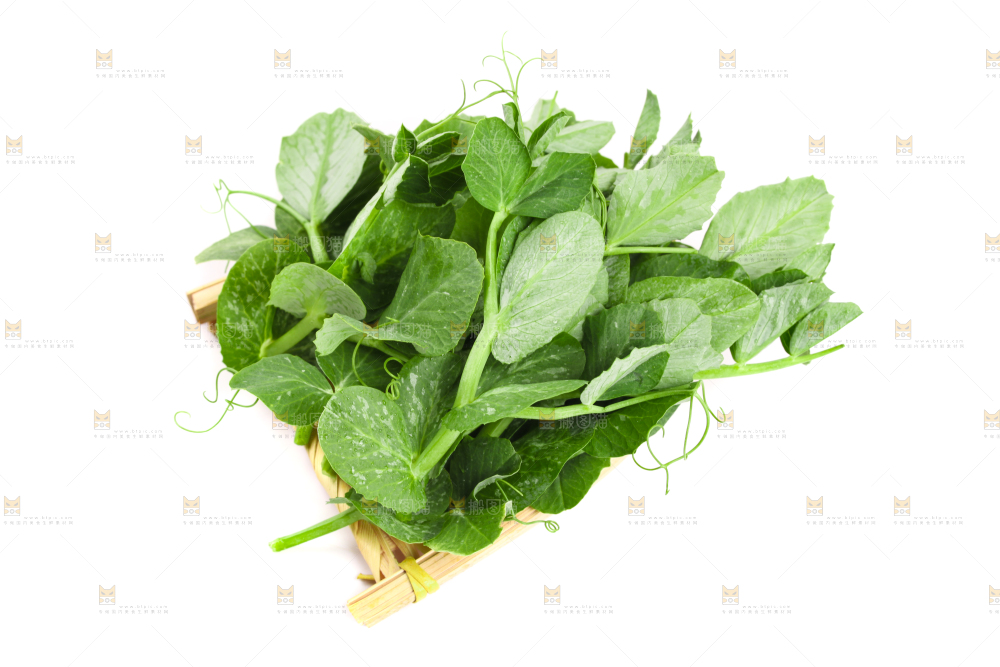 白底上摆放着新鲜豌豆苗
