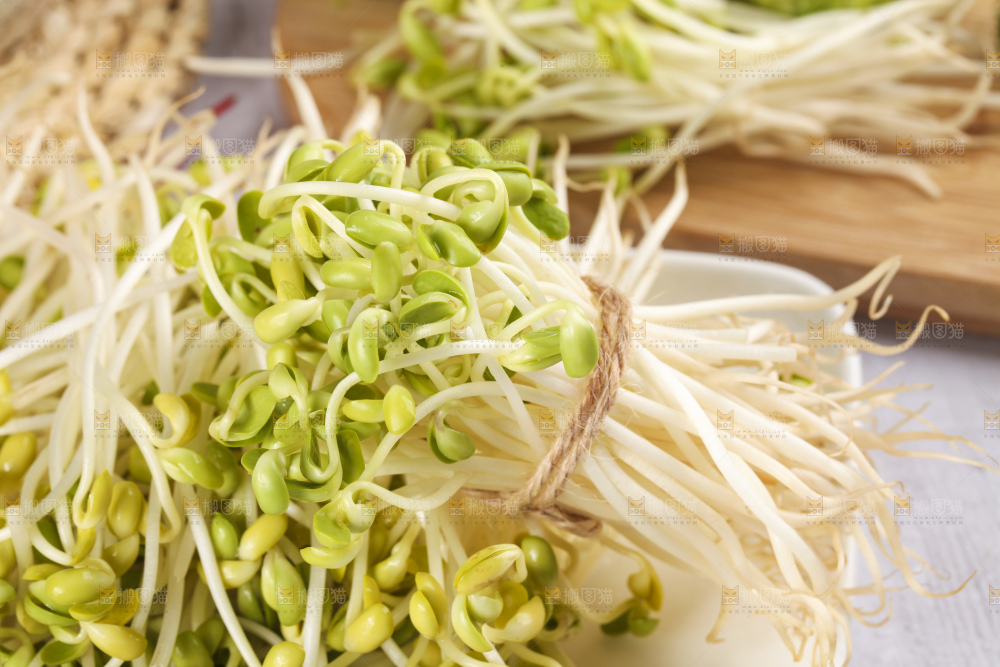 盘子里的豆芽