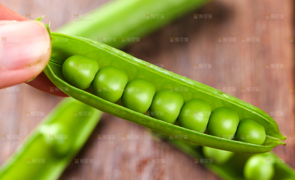 手拿新鲜豌豆