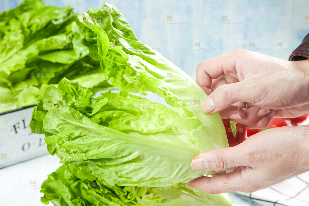石板上摆放着意大利生菜