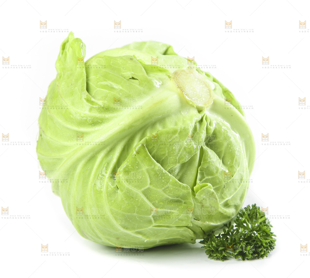 白底上的甘蓝包菜