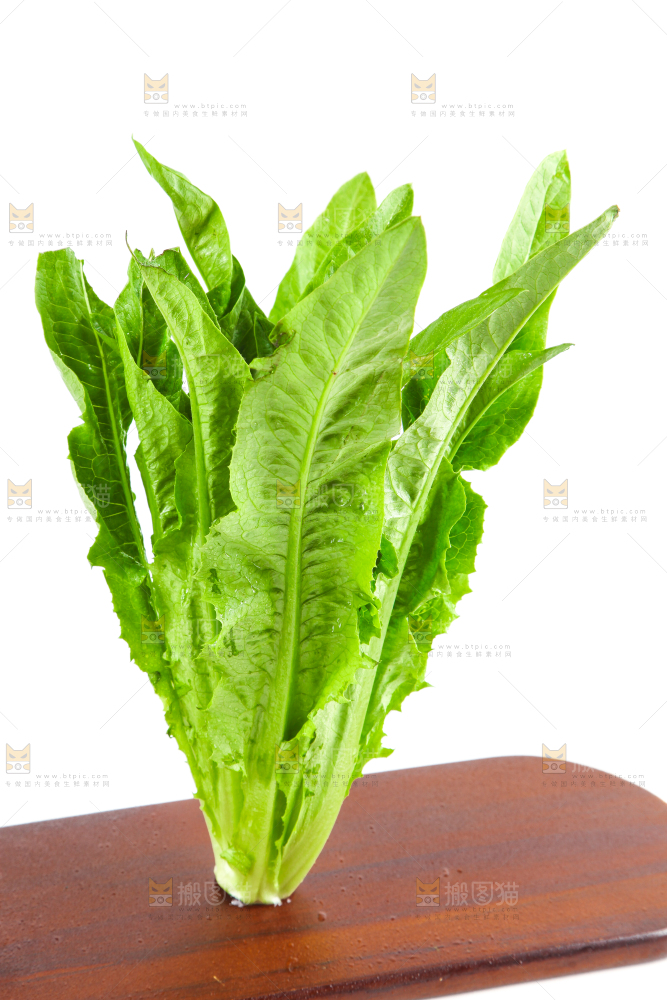 木板上放着油麦菜