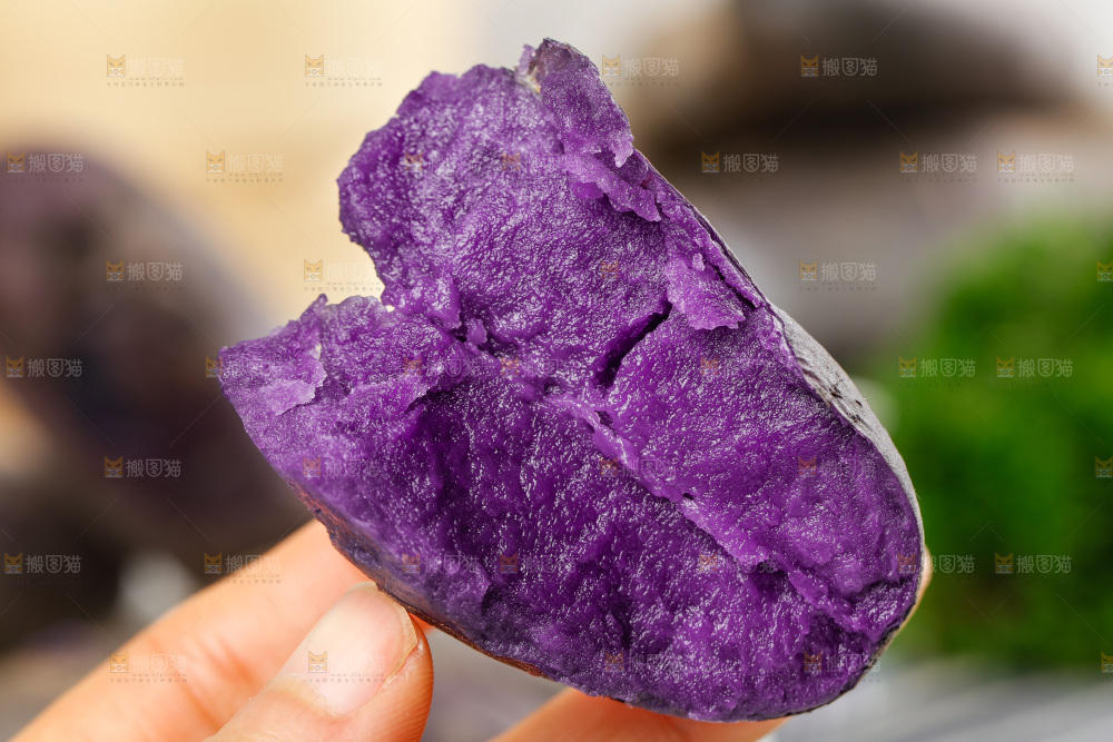 手里拿着新鲜土豆