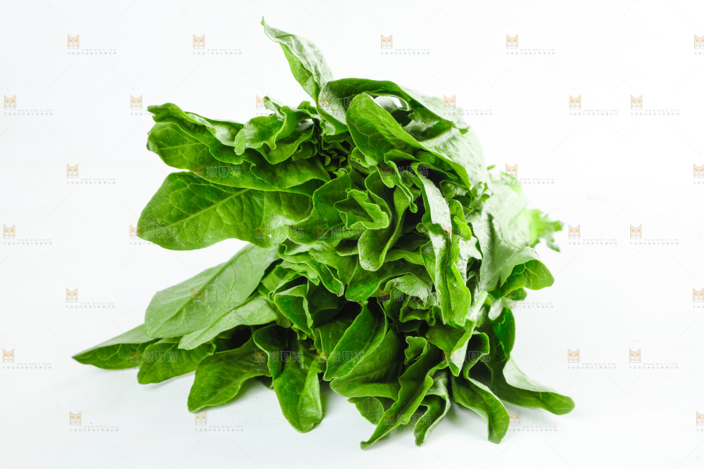 白底上放着油麦菜