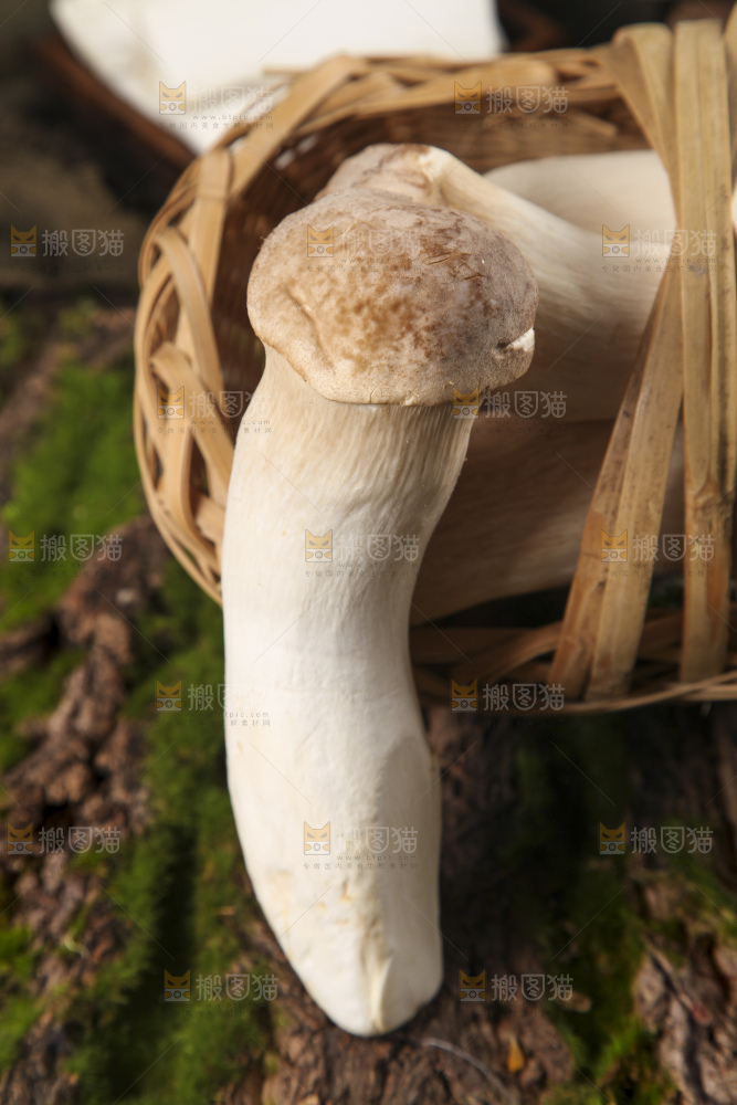 篮子里放着大鸡腿菇