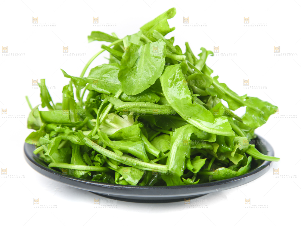 白底上的地菜