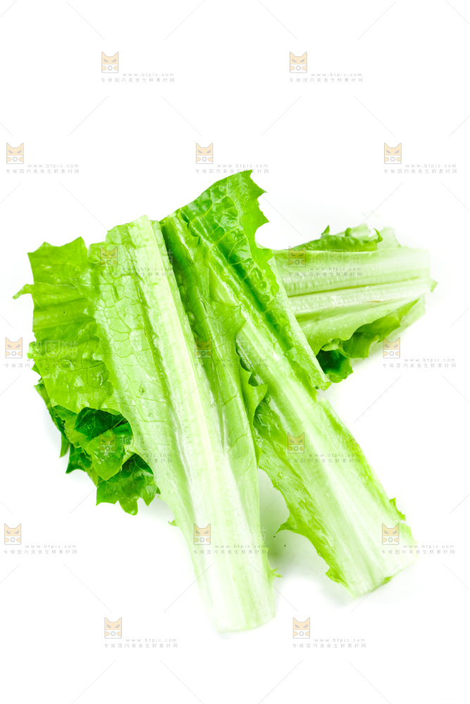 白底上放着油麦菜