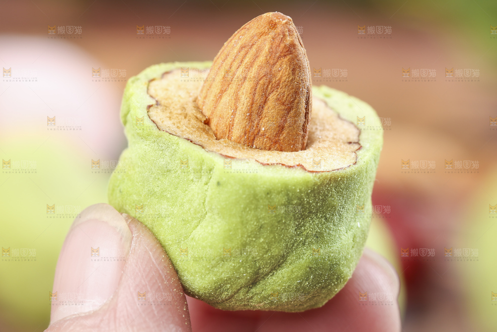 手拿切开的抹茶味夹心奶枣