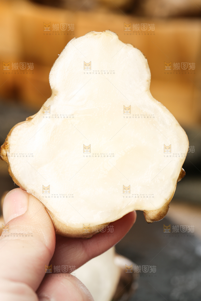 手里拿着地姜