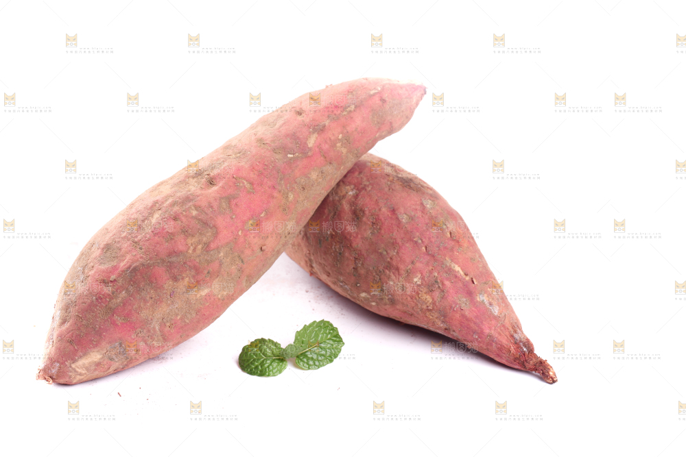 白底上蜜署