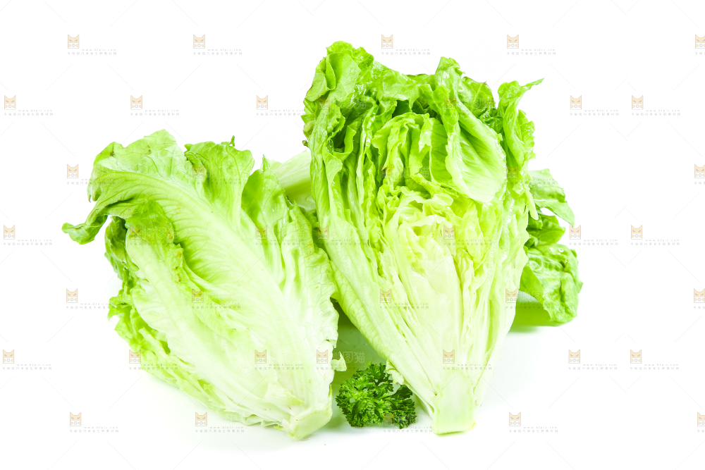 盘子里装着大叶生菜