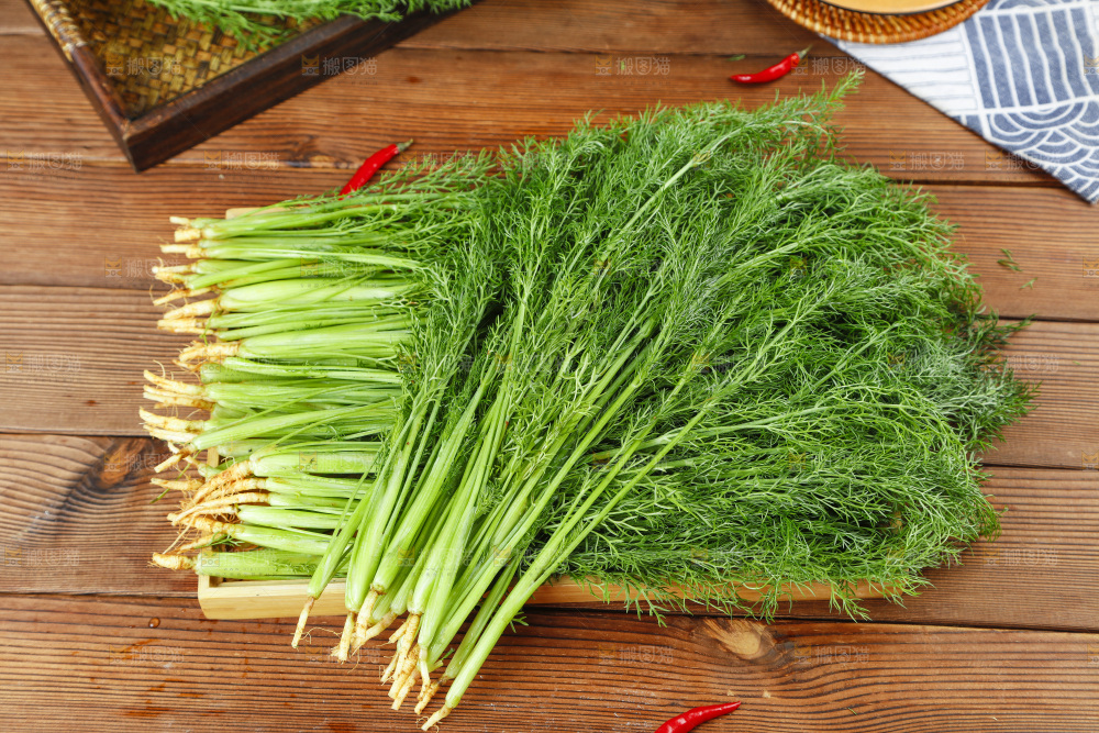 木板上的土茴香