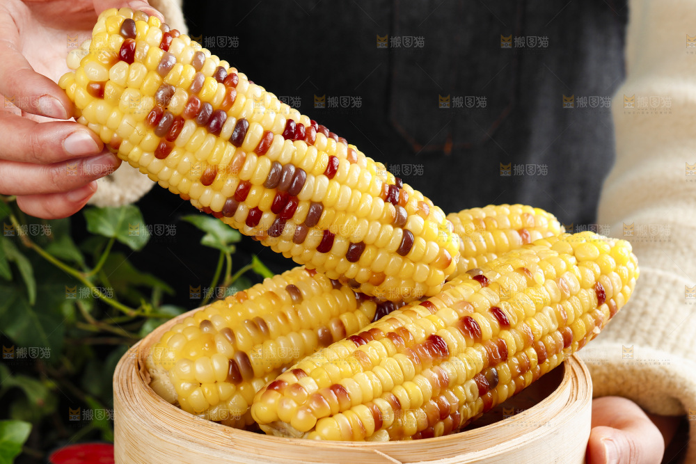 手拿熟糯玉米