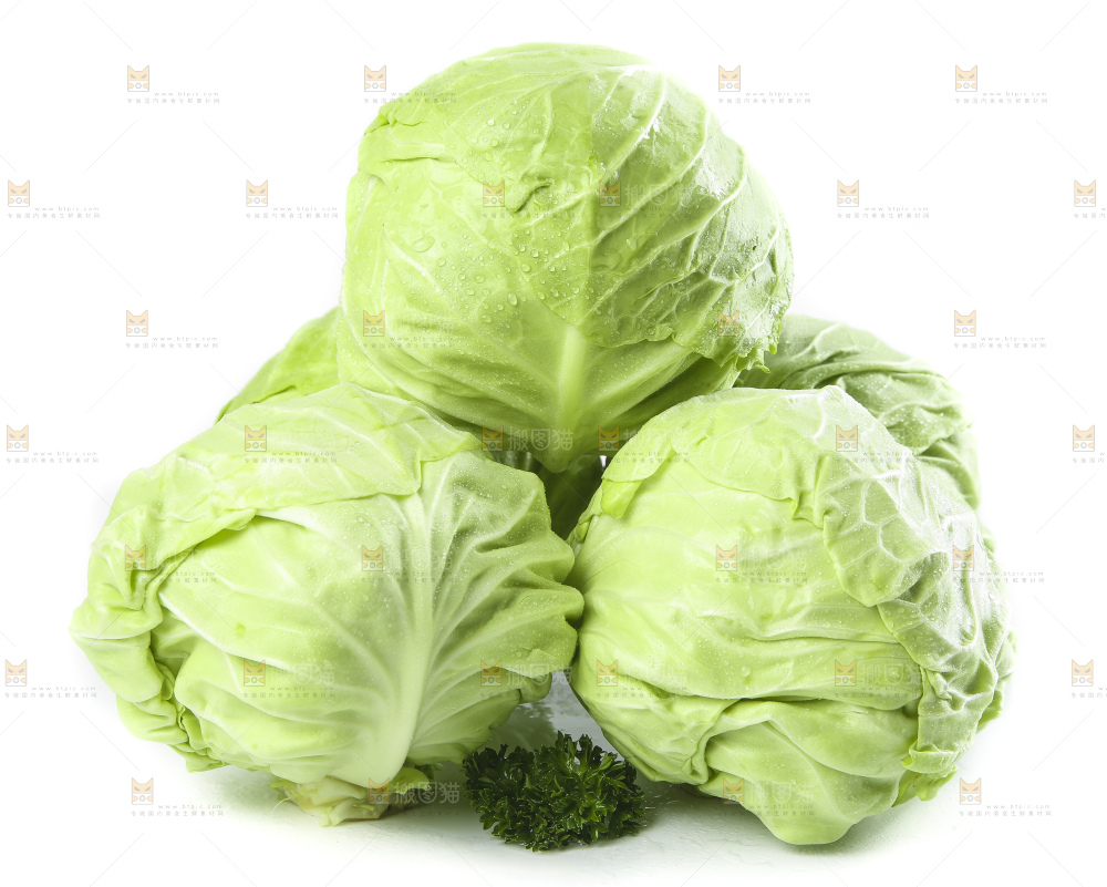 白底上的甘蓝包菜