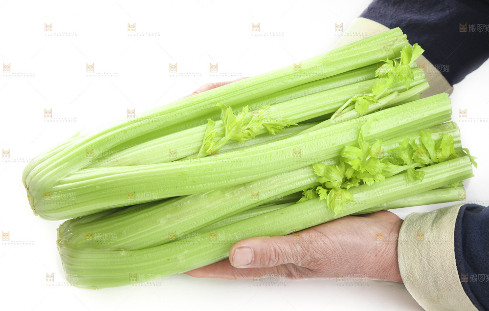 白底上的山东西芹