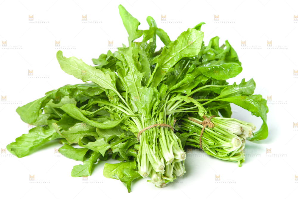 白底上的地菜