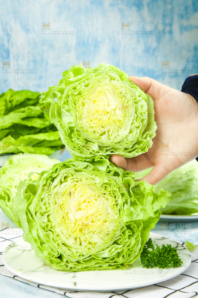 盘子里装着球生菜