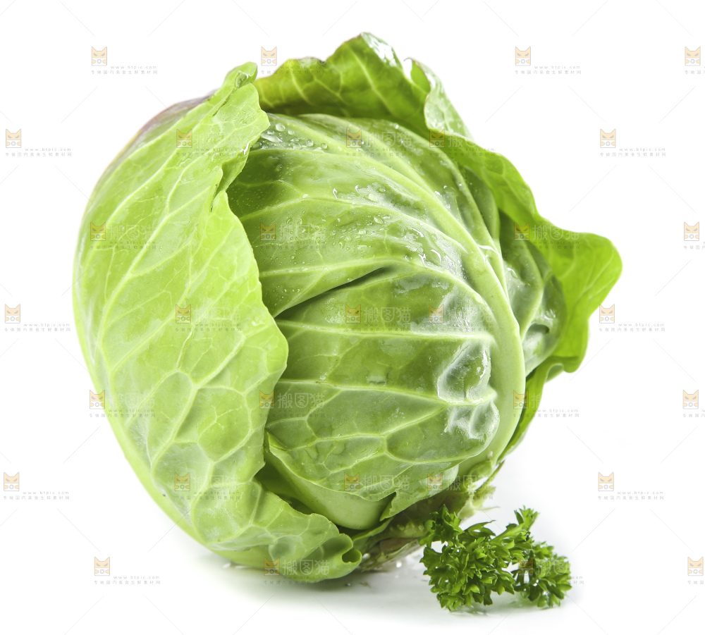 白底上的甘蓝包菜