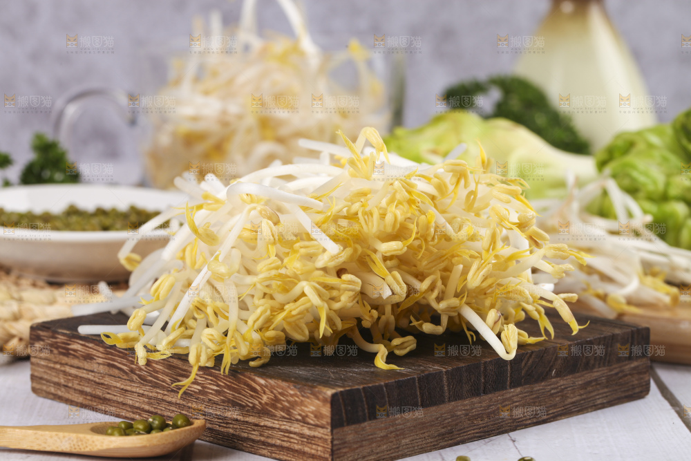 盘子里装着绿豆芽