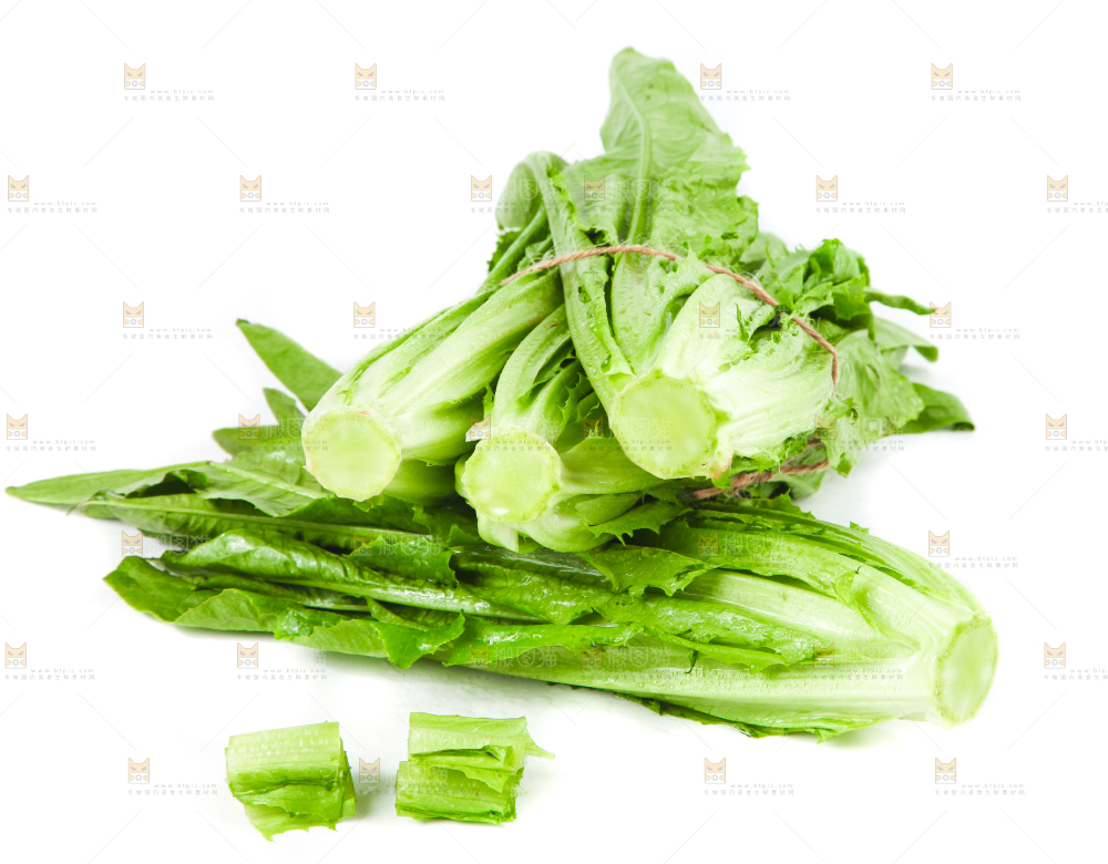白底上的香麦菜