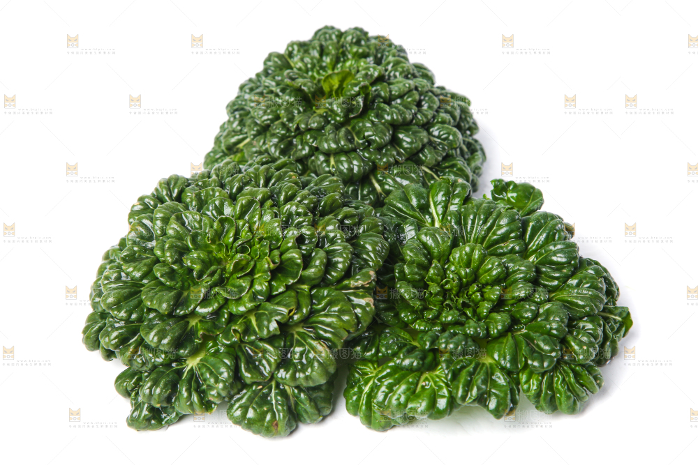 白底上的菊花菜