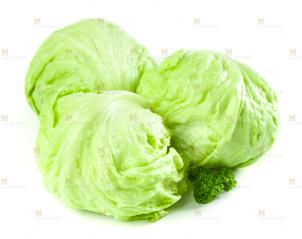 白底上的新鲜生菜