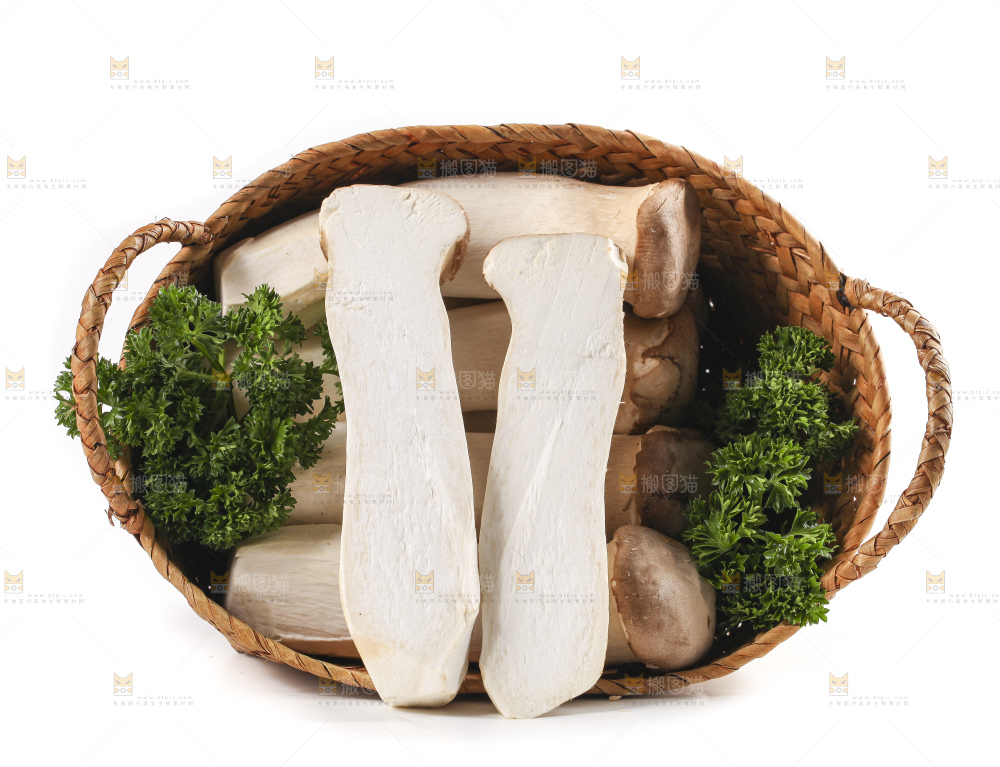 篮子里的菌菇