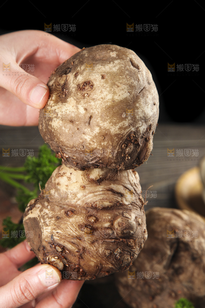 手里拿着着大魔芋