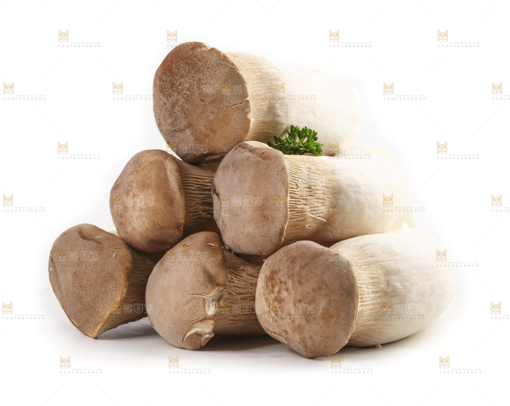 白底上放着大鸡腿菇