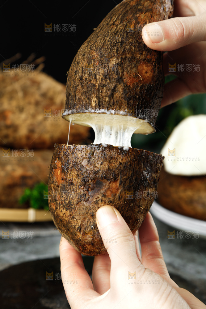 黑底上的金秤砣山药
