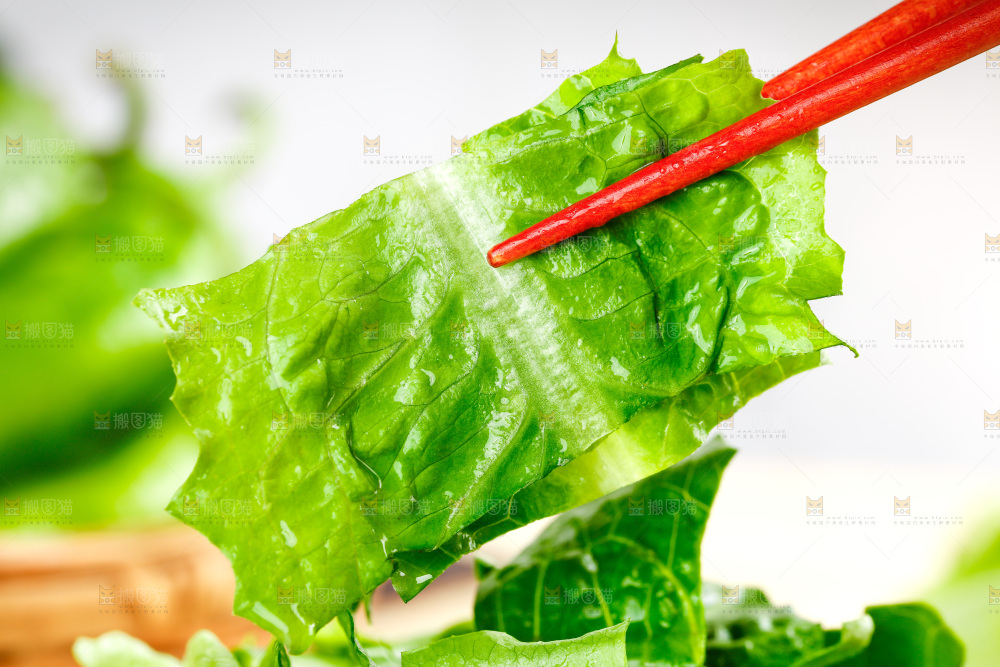 筷子上夹着新鲜油麦菜