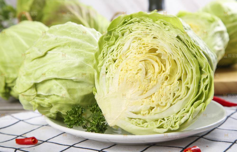 白格子底上的甘蓝包菜