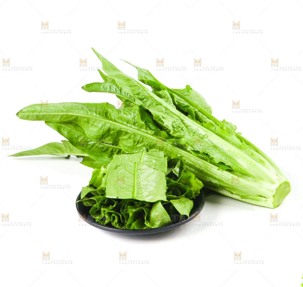 白底上的香麦菜