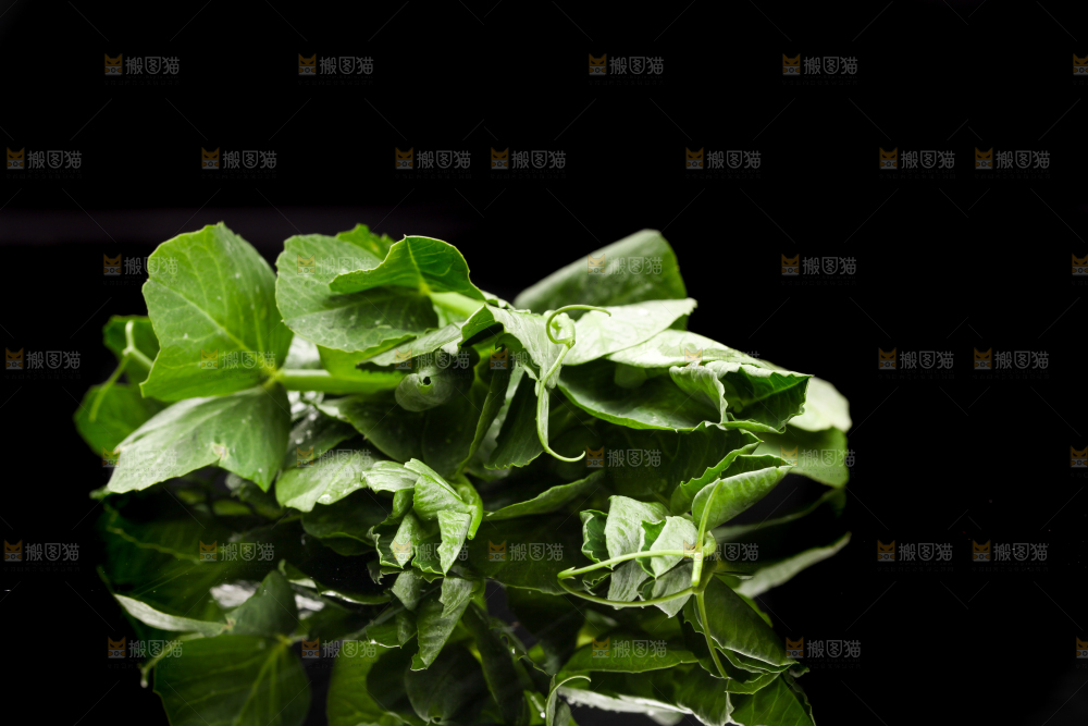 深底上的四川豌豆尖