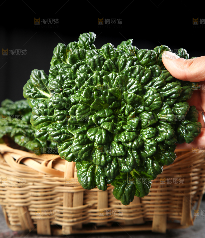 篮子里装着乌塌菜