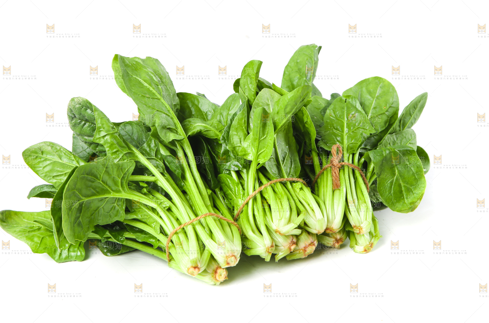 白底上的大叶菠菜