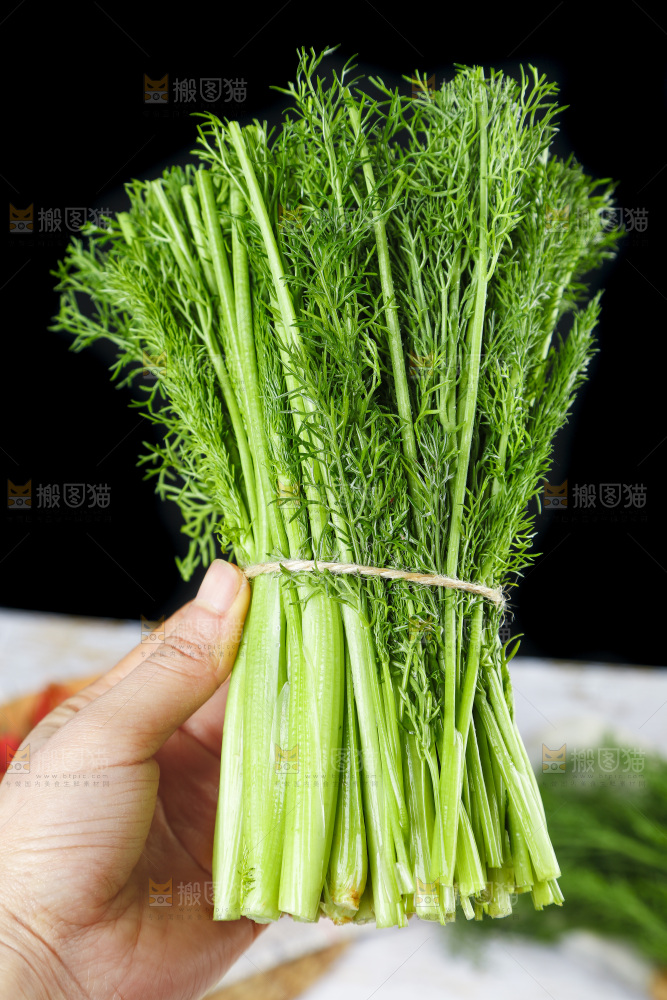 手里拿着小茴香
