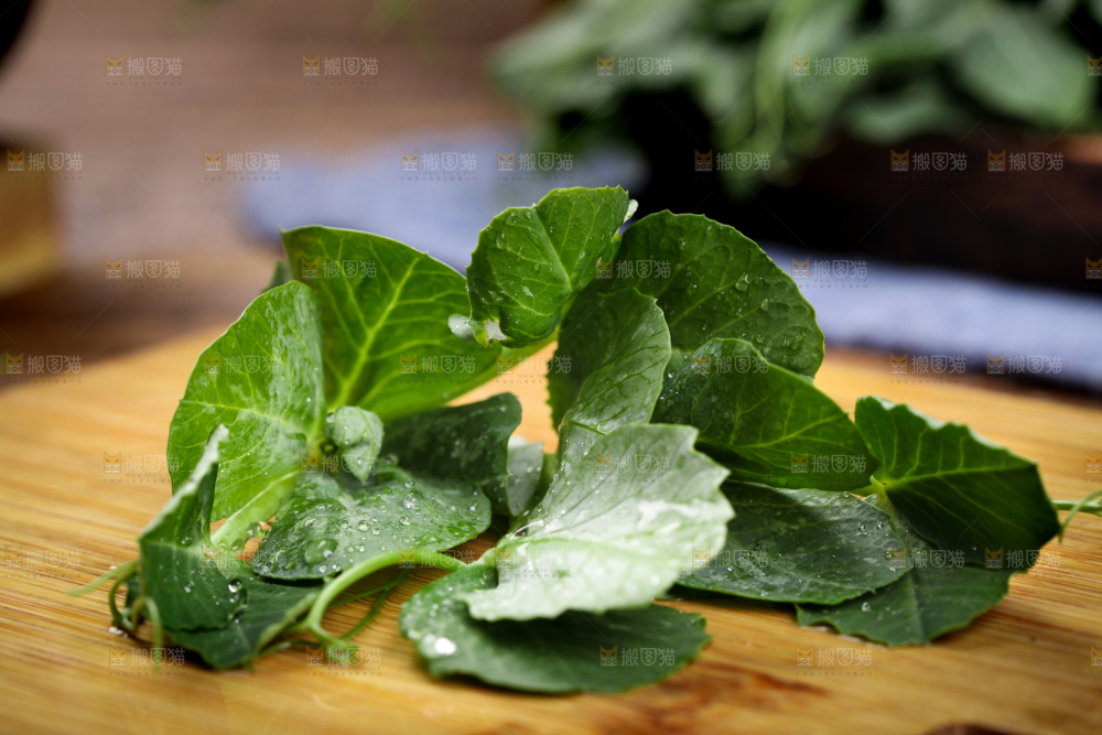 深底上的四川豌豆尖