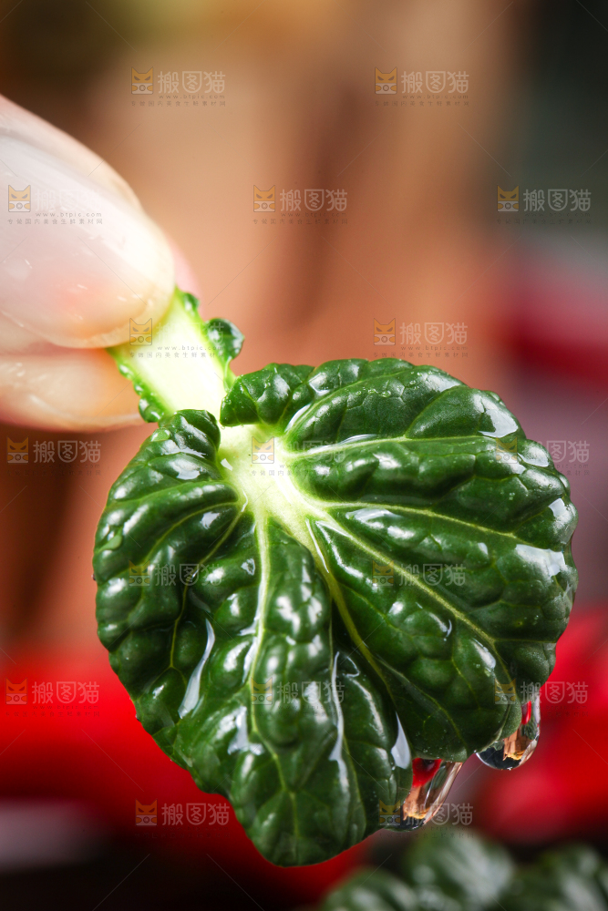 手里拿着青菜