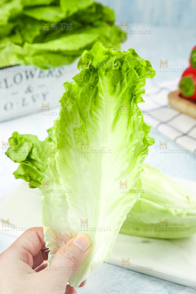 手里拿着生菜