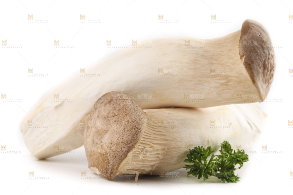 白底上放着大鸡腿菇