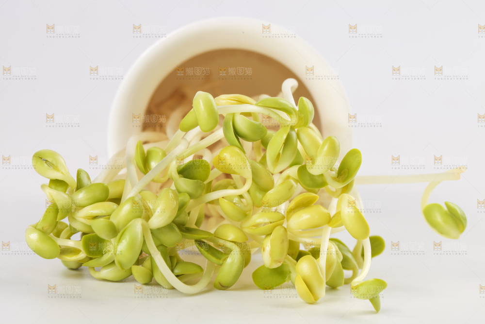 瓶子里放着黄豆芽