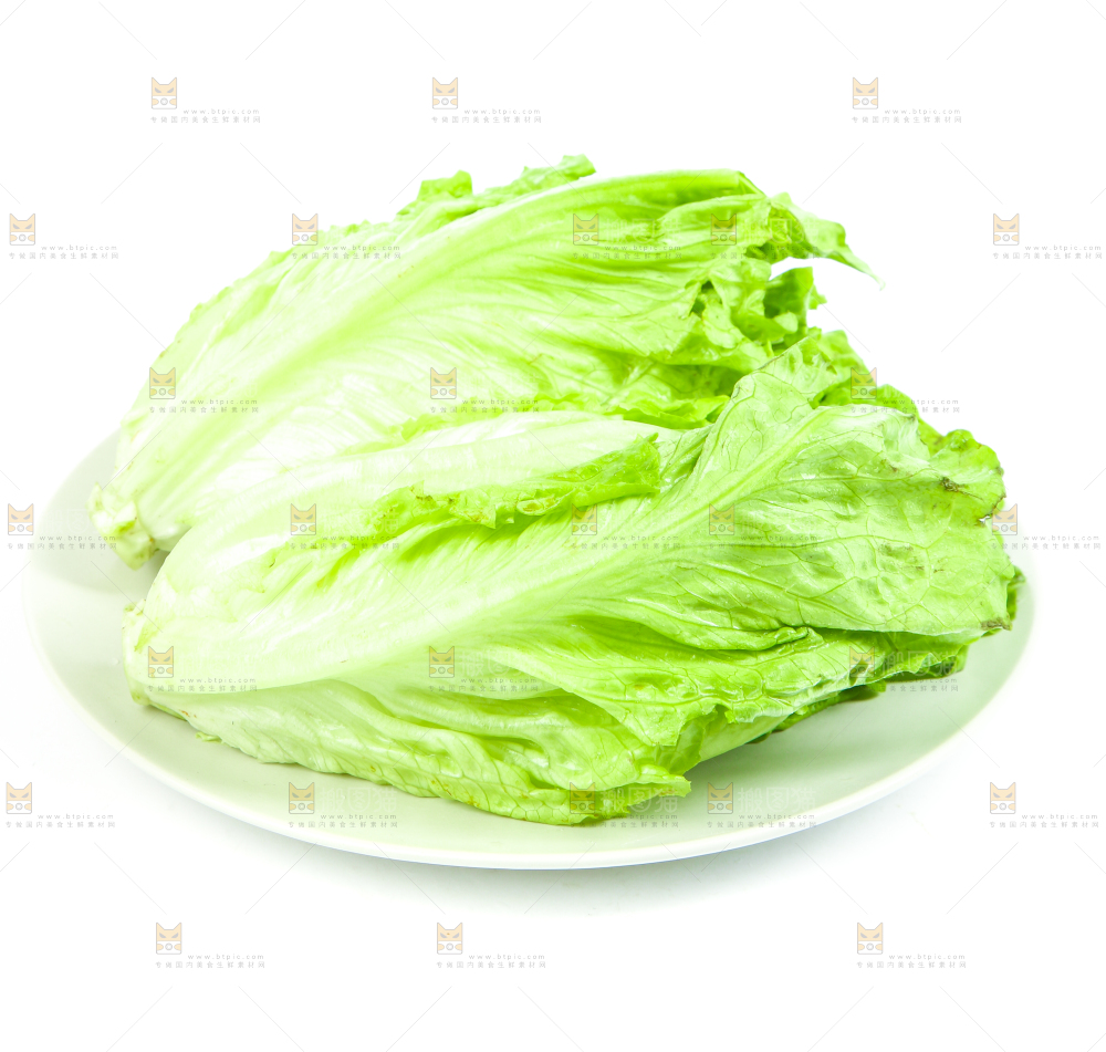 盘子里装着大叶生菜