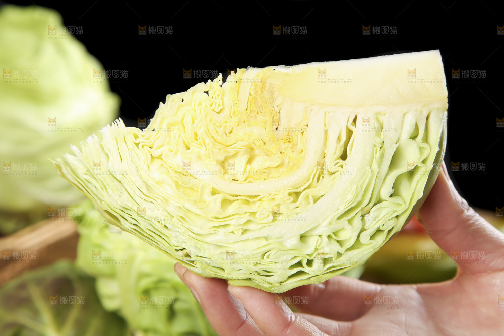 手里拿着洋白菜