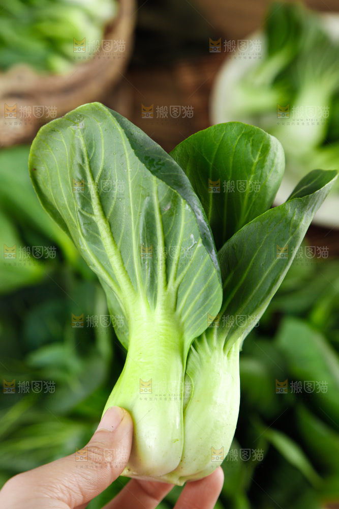 手里拿着新鲜青菜