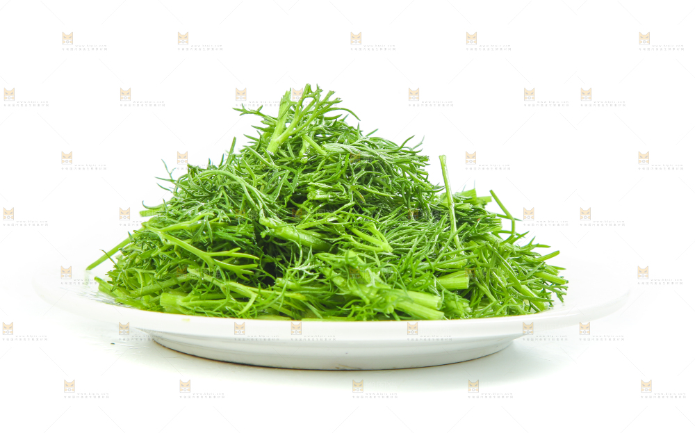 白底上放着小茴香