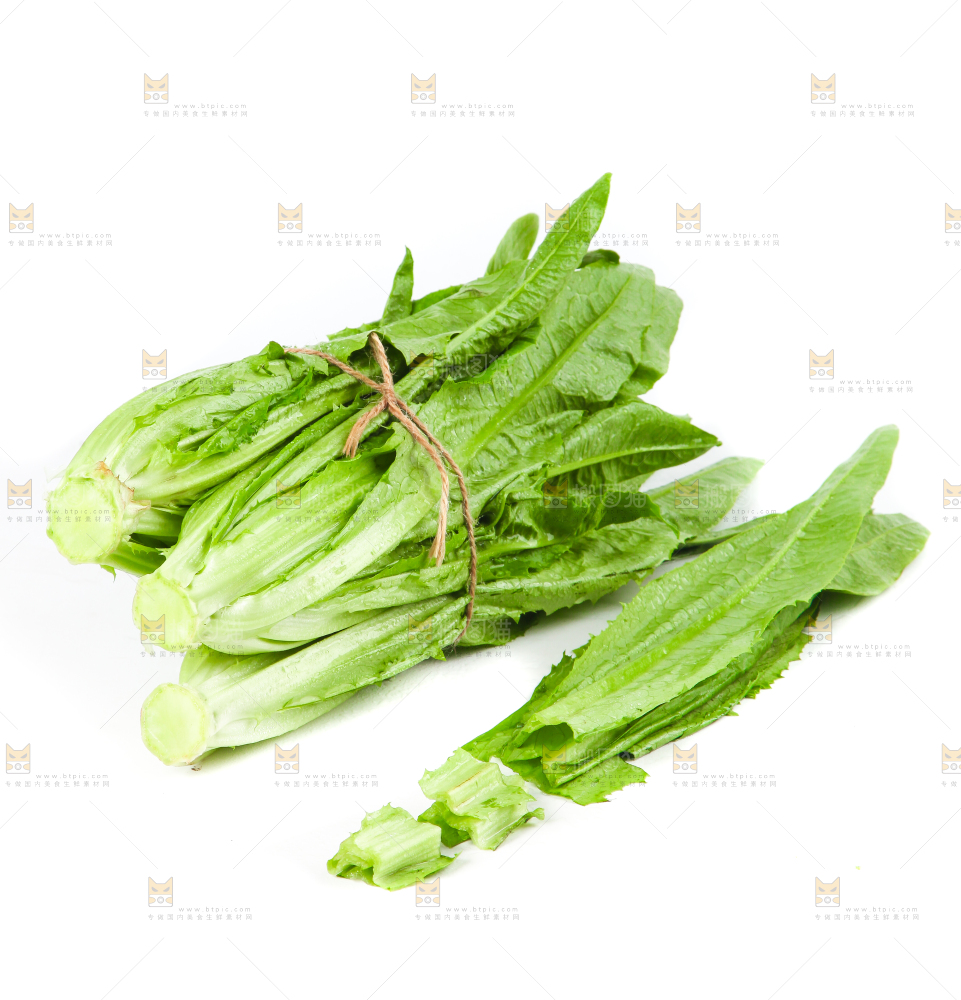 白底上的香麦菜