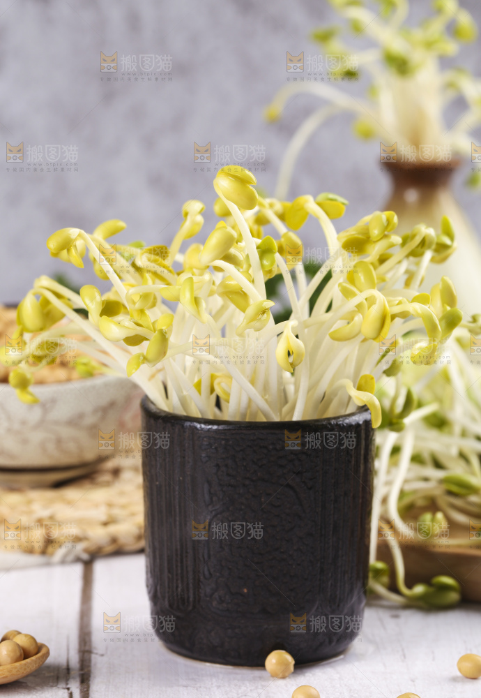 瓶子里放着黄豆芽