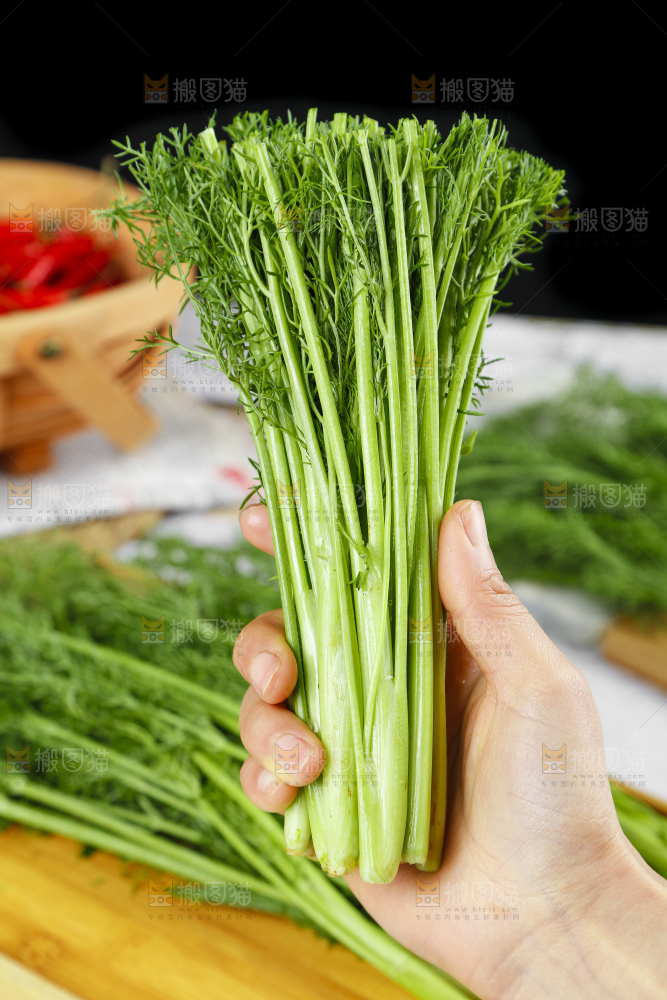 手里拿着小茴香